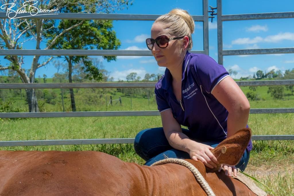 Woman in Purple Shirt Riding a Brown Horse in A Sunny Pasture — Sarina Veterinary Surgery In Sarina, QLD