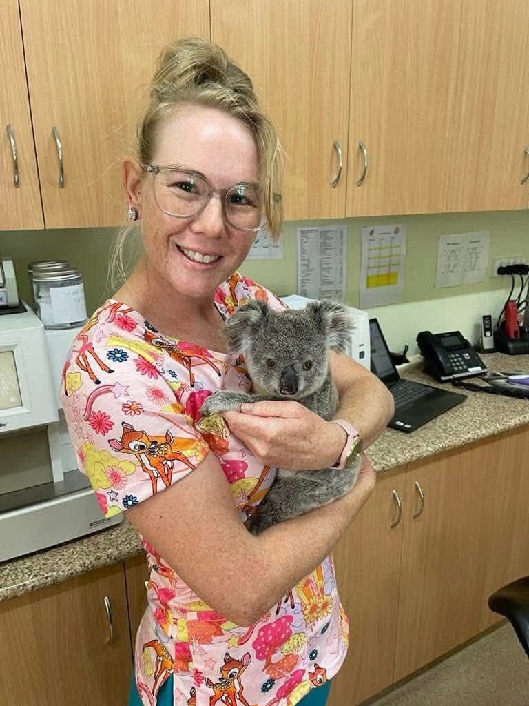 Woman Holding a Koala in A Clinic, Smiling Beside a Countertop and Cabinets — Sarina Veterinary Surgery In Sarina, QLD