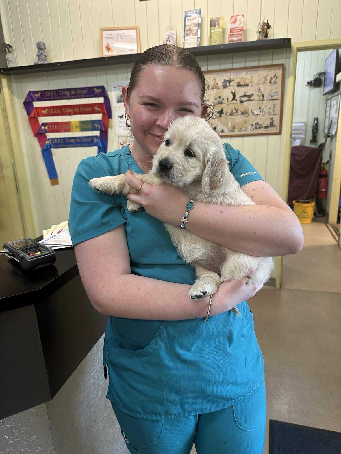 Smiling person in teal scrubs holding a small fluffy dog in a veterinary clinic — Sarina Veterinary Surgery In Sarina, QLD