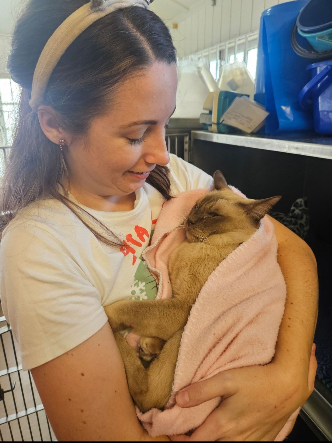 Woman Holding a Swaddled Sleeping Cat in A Pink Blanket Indoors — Sarina Veterinary Surgery In Sarina, QLD
