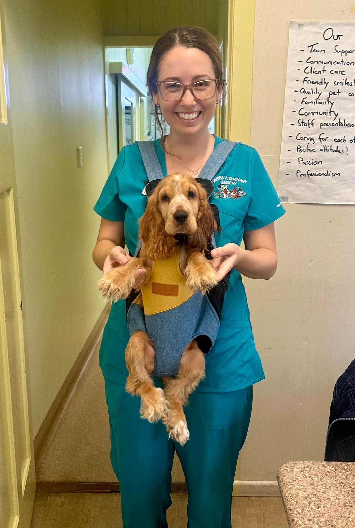 Woman in Teal Scrubs Holding a Small Dog in A Blue Outfit in A Hallway — Sarina Veterinary Surgery In Sarina, QLD