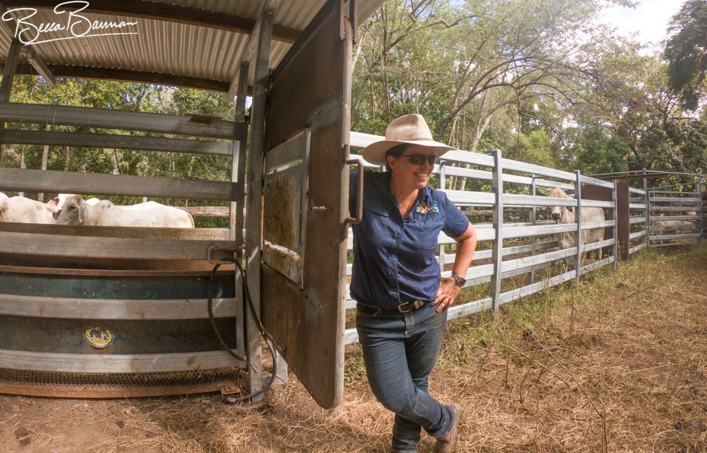 Person in A Cowboy Hat Leaning by A Cattle Chute on A Ranch — Sarina Veterinary Surgery In Sarina, QLD