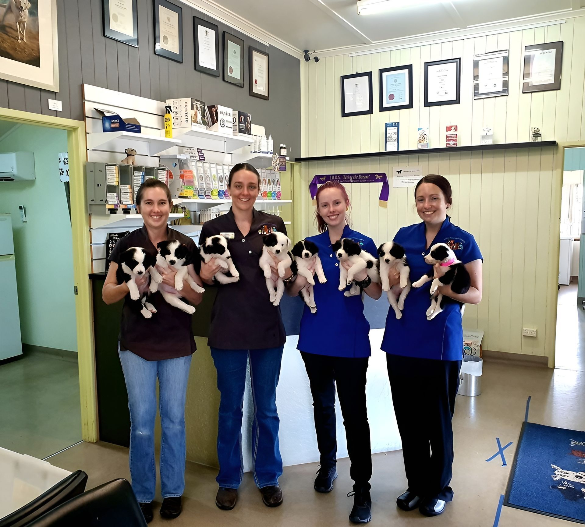 Four People Holding Small Black-And-White Dogs in A Bright Indoor Room — Sarina Veterinary Surgery In Sarina, QLD