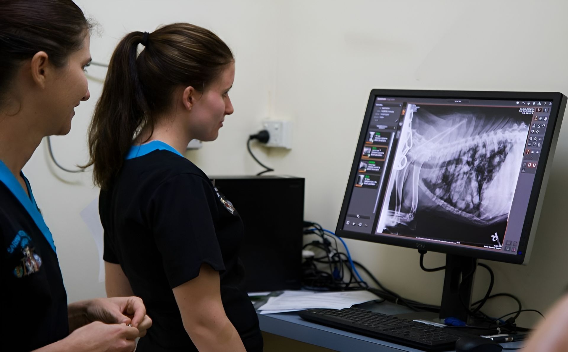 Two People Viewing a Computer Monitor — Sarina Veterinary Surgery In Sarina, QLD