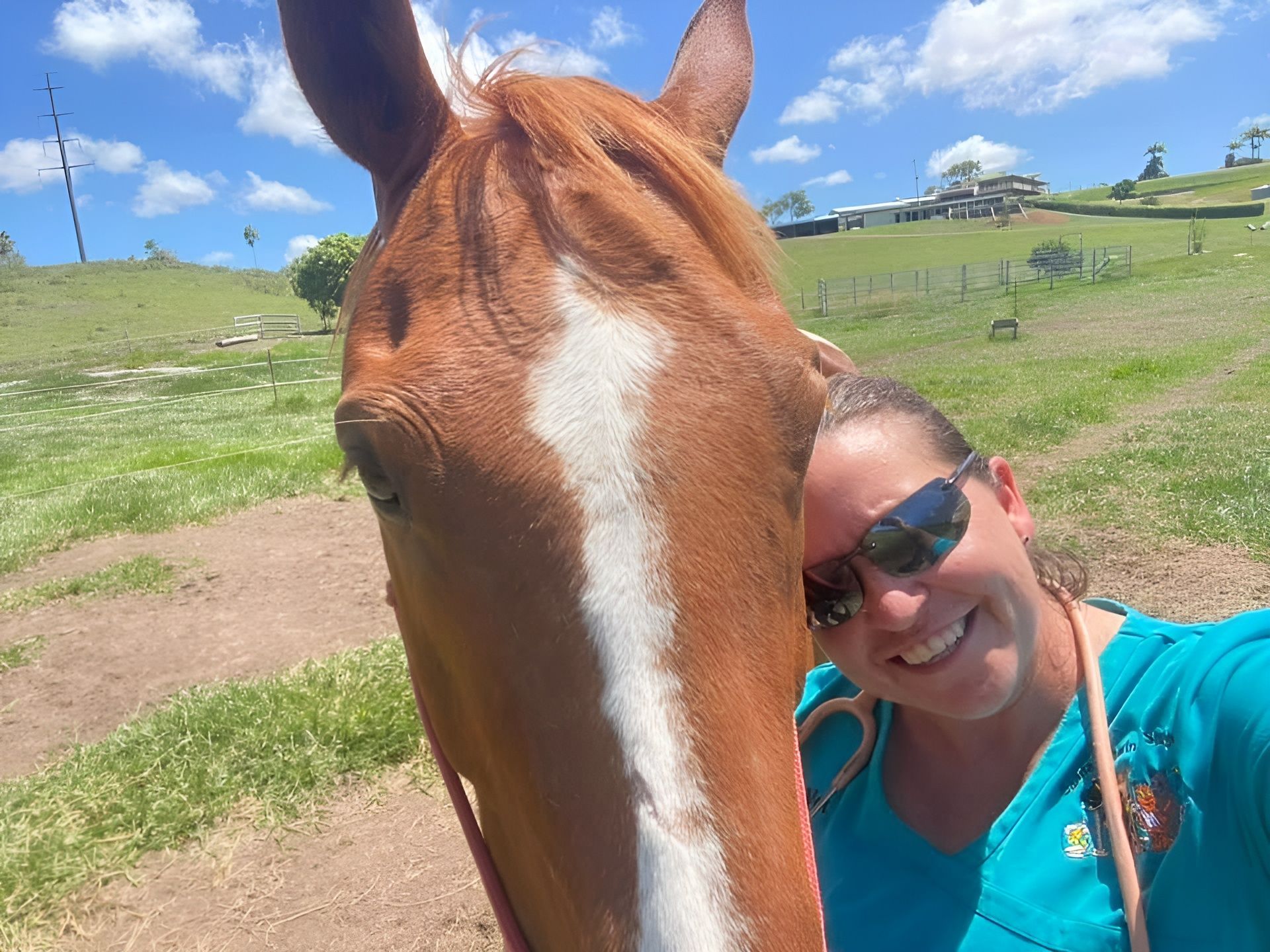 Person Smiling Beside a Chestnut Horse with A White Blaze in A Sunny Green Field — Sarina Veterinary Surgery In Sarina, QLD