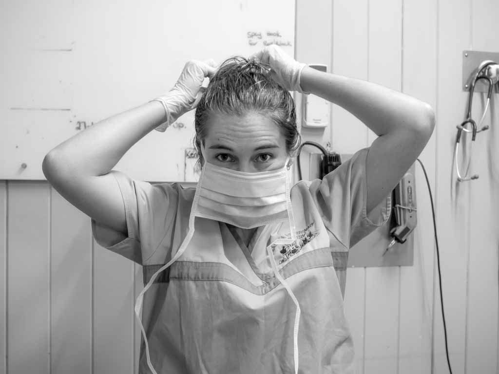 Healthcare Worker Tying Hair Back While Wearing a Surgical Mask — Sarina Veterinary Surgery In Sarina, QLD