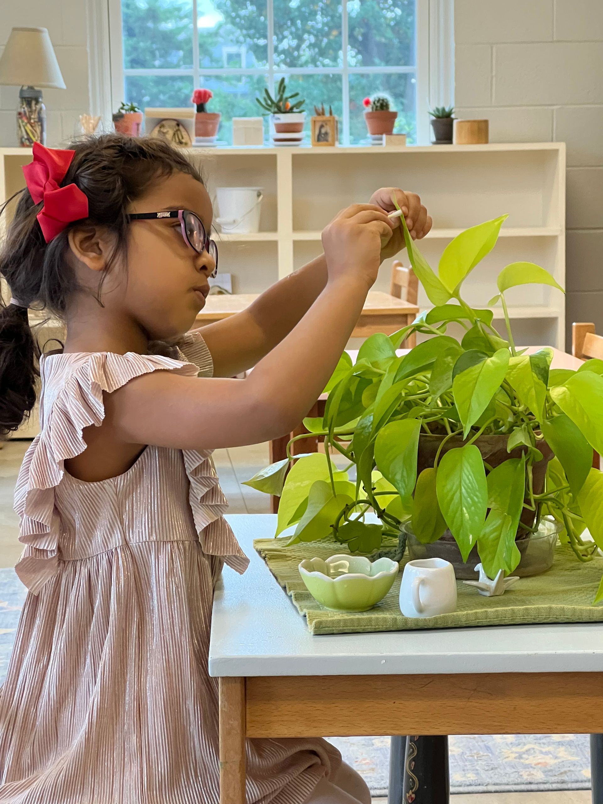 Child washing the leaves of a potted plant at a table in a bright indoor room