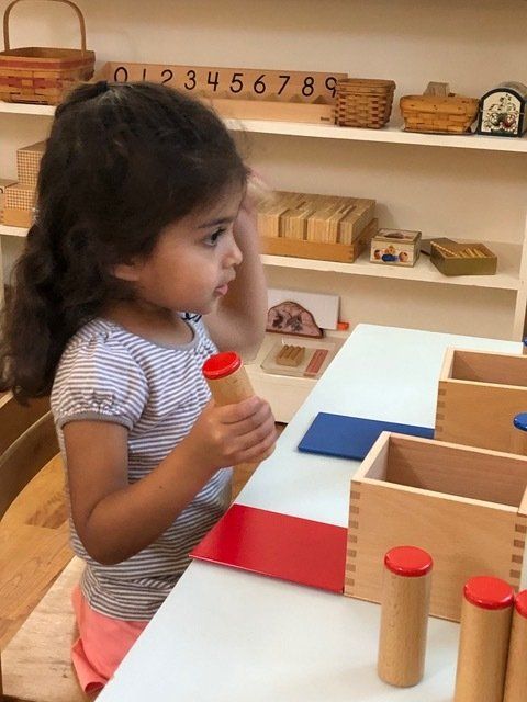Montessori Child holding a wooden cylinder, looking at a table with blocks and cylinders.