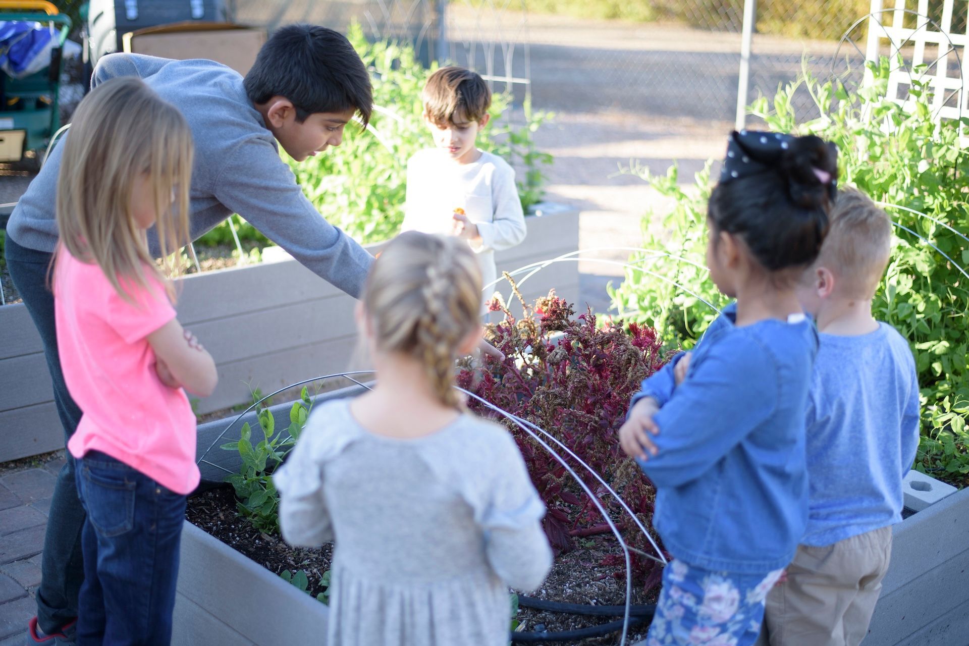 Children watering plants in a garden bed with a hose on a sunny day