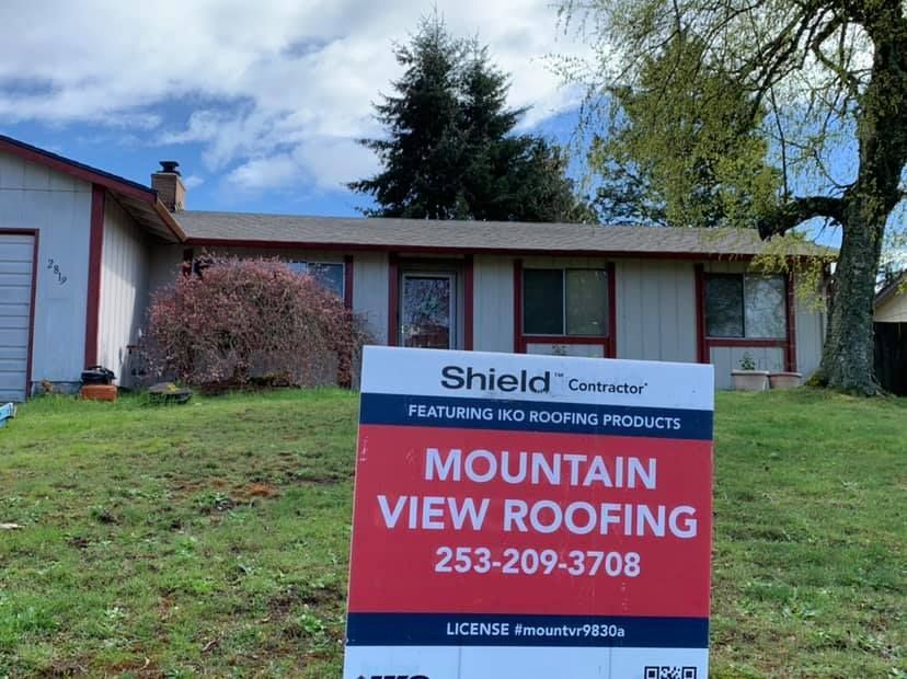 Shingle Roof