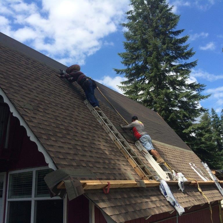 Shingle roof maintaining
