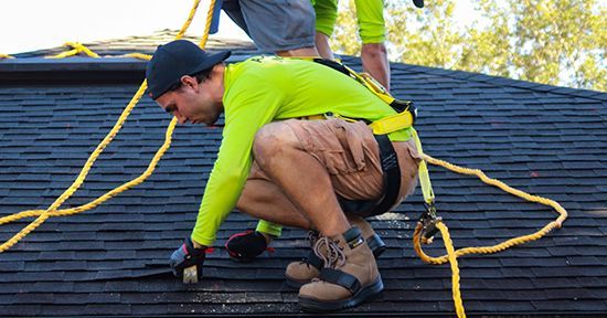 professional roofing services