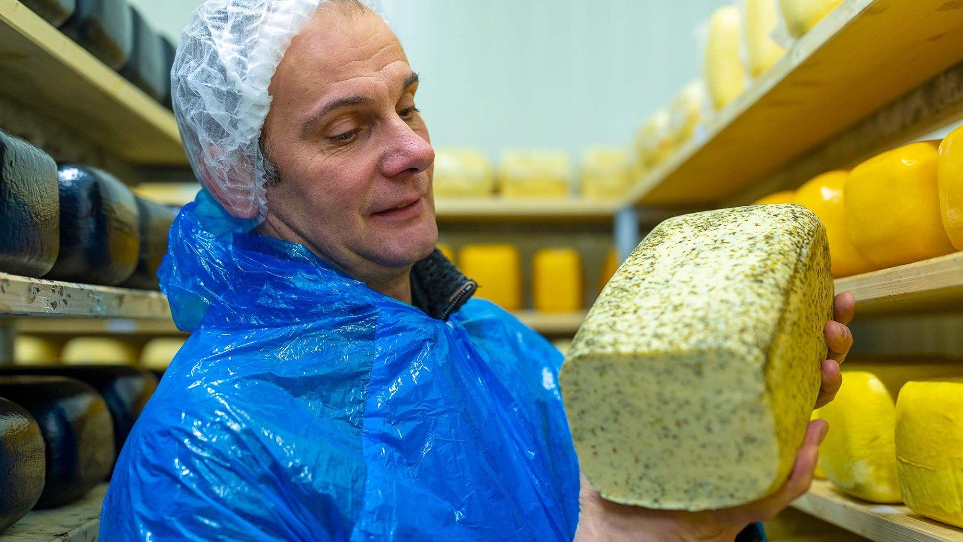 Ludger Engeln in der Hofkäserei mit einem Laib Bärlauchkäse.