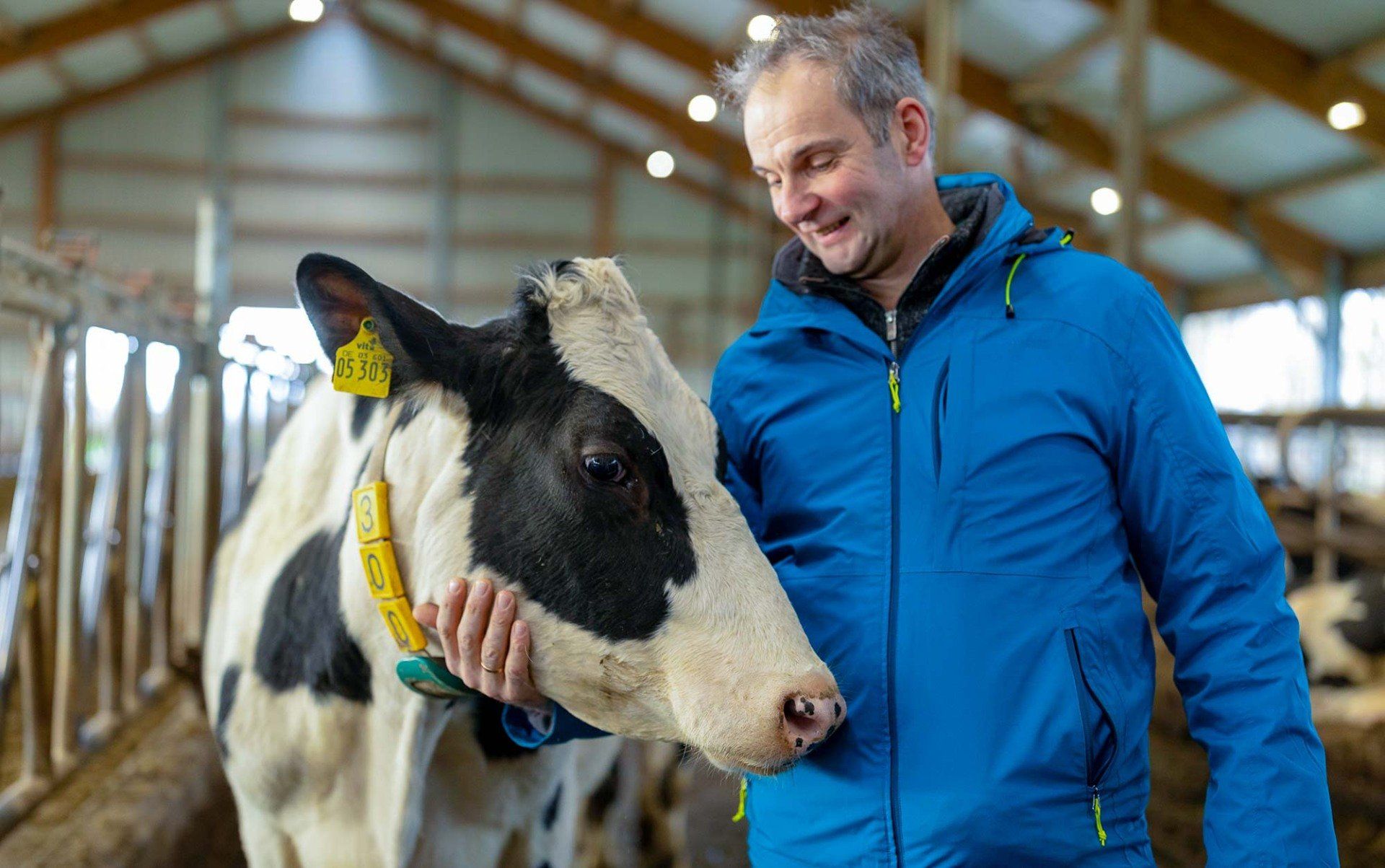 Ludger Engeln in einer blauen Jacke steht im Stall und streichelt eine schwarz weiße Kuh.