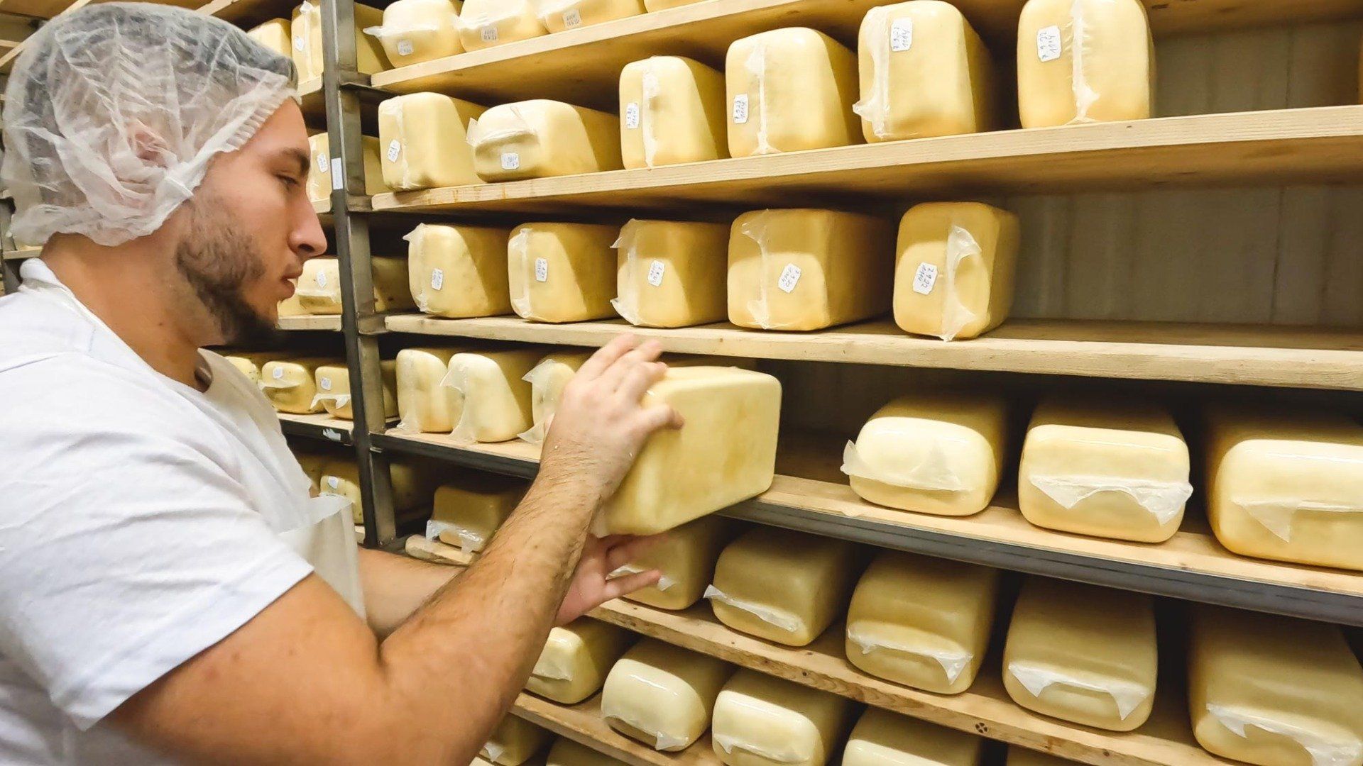 Ein Mann nimmt einen Laib Käse aus einem Regal, in dem viele Käselaibe zum Reifen liegen.