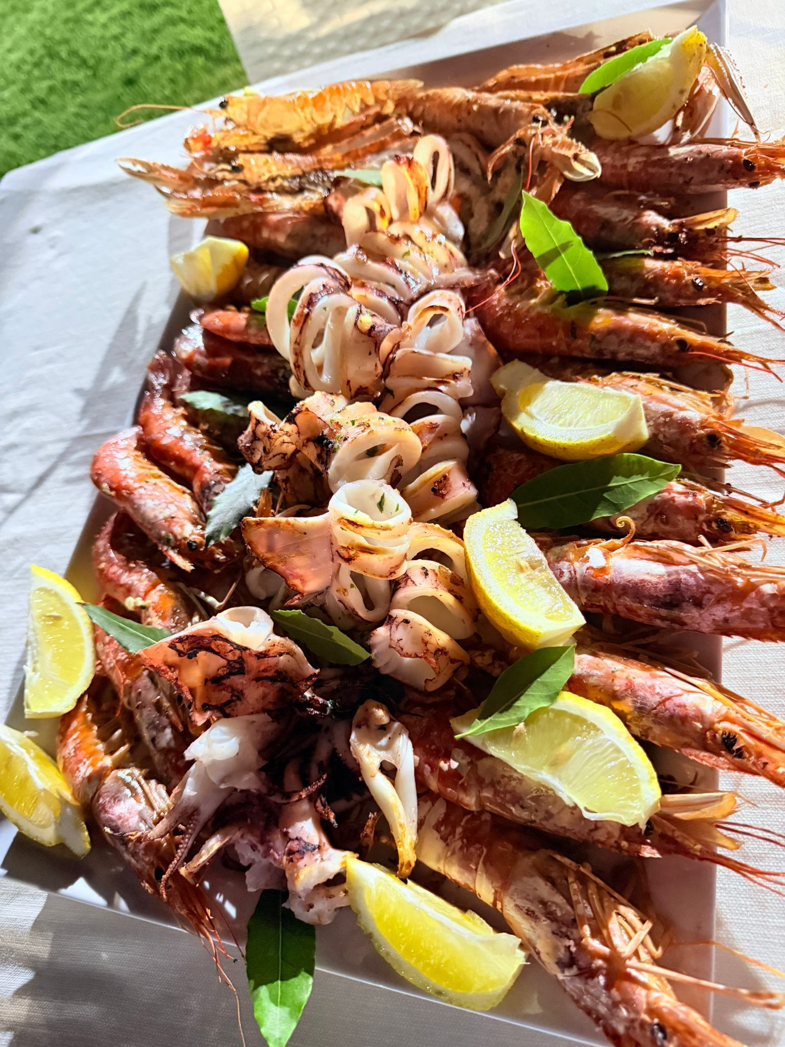 Mani guantate che reggono un piatto di pesce fresco accanto a una finestra con un paesaggio verde all'esterno
