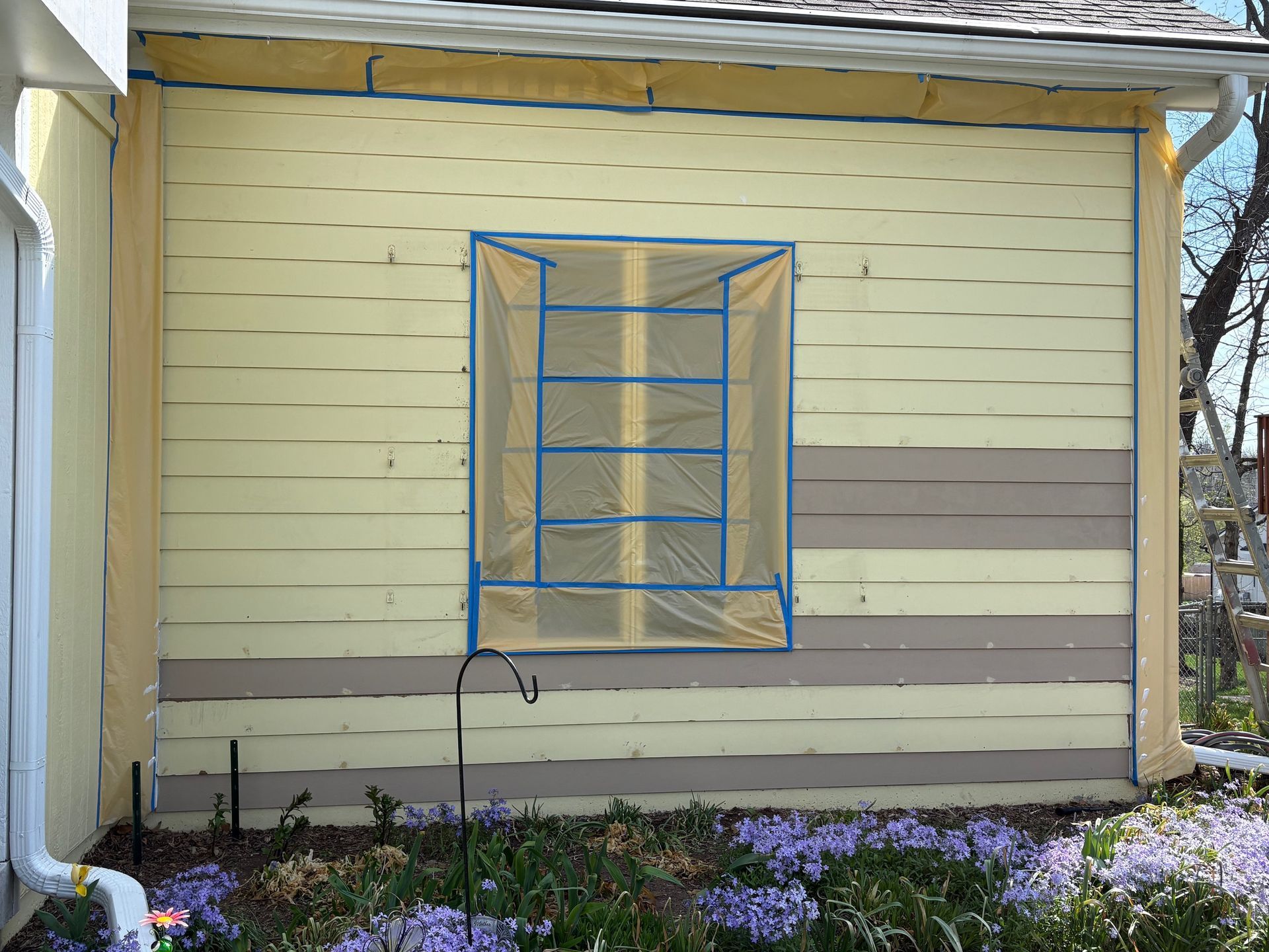 Yellow house wall with a blue-framed window screen and purple flowers below