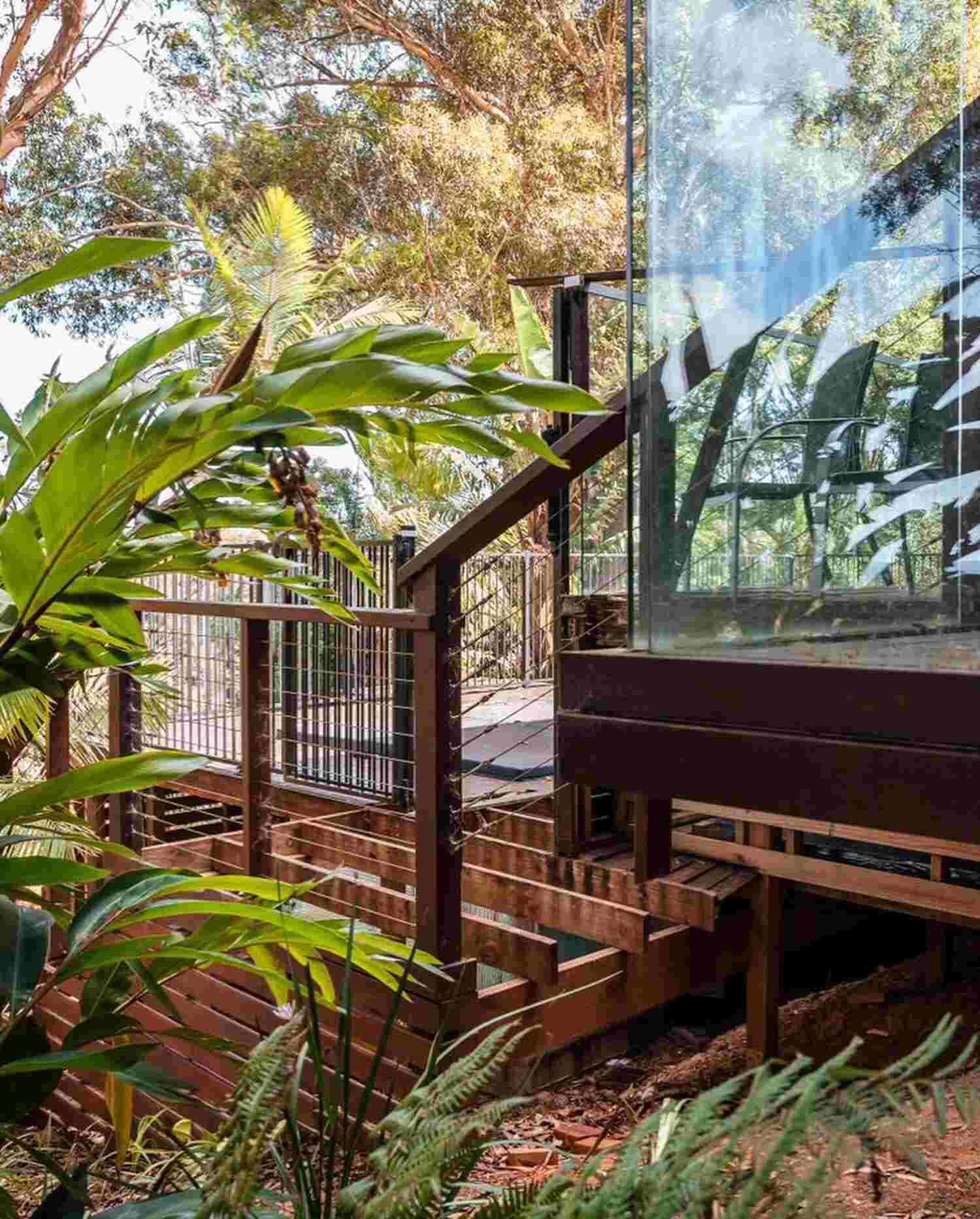 A Wooden Deck With Stairs Leading Up To It Surrounded By Trees And Plants โ Sedah Home Improvements In Port Macquarie, NSW
