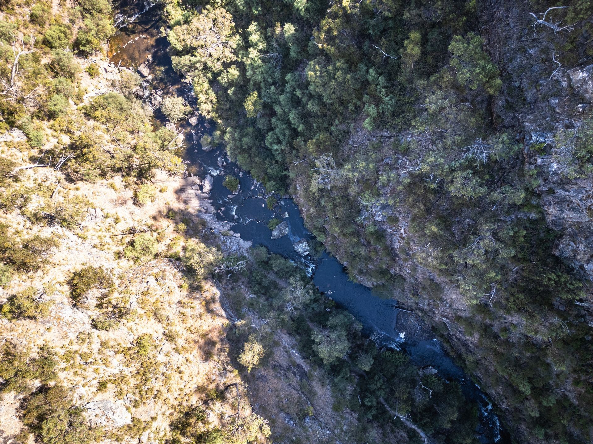 Overhead view of a river cutting through a rocky gorge; trees and bushes line the edges.