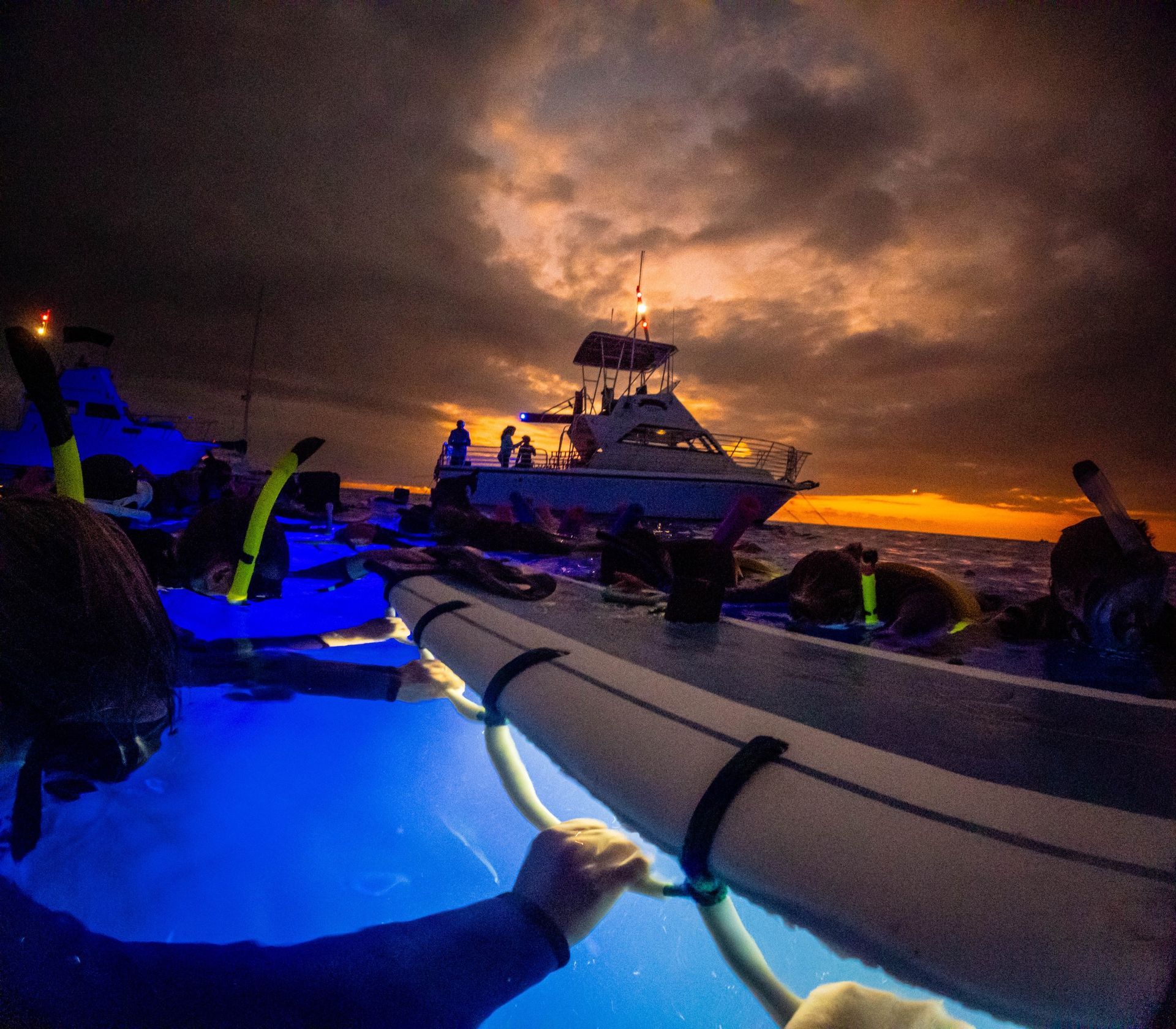 Divers entering the ocean at dusk, lit by blue lights; boat in the background under an orange-tinted sky.