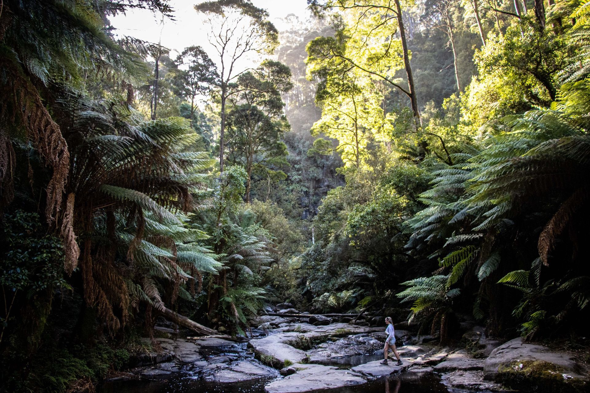A person walks along a rocky riverbed in a lush, green forest with dappled sunlight.