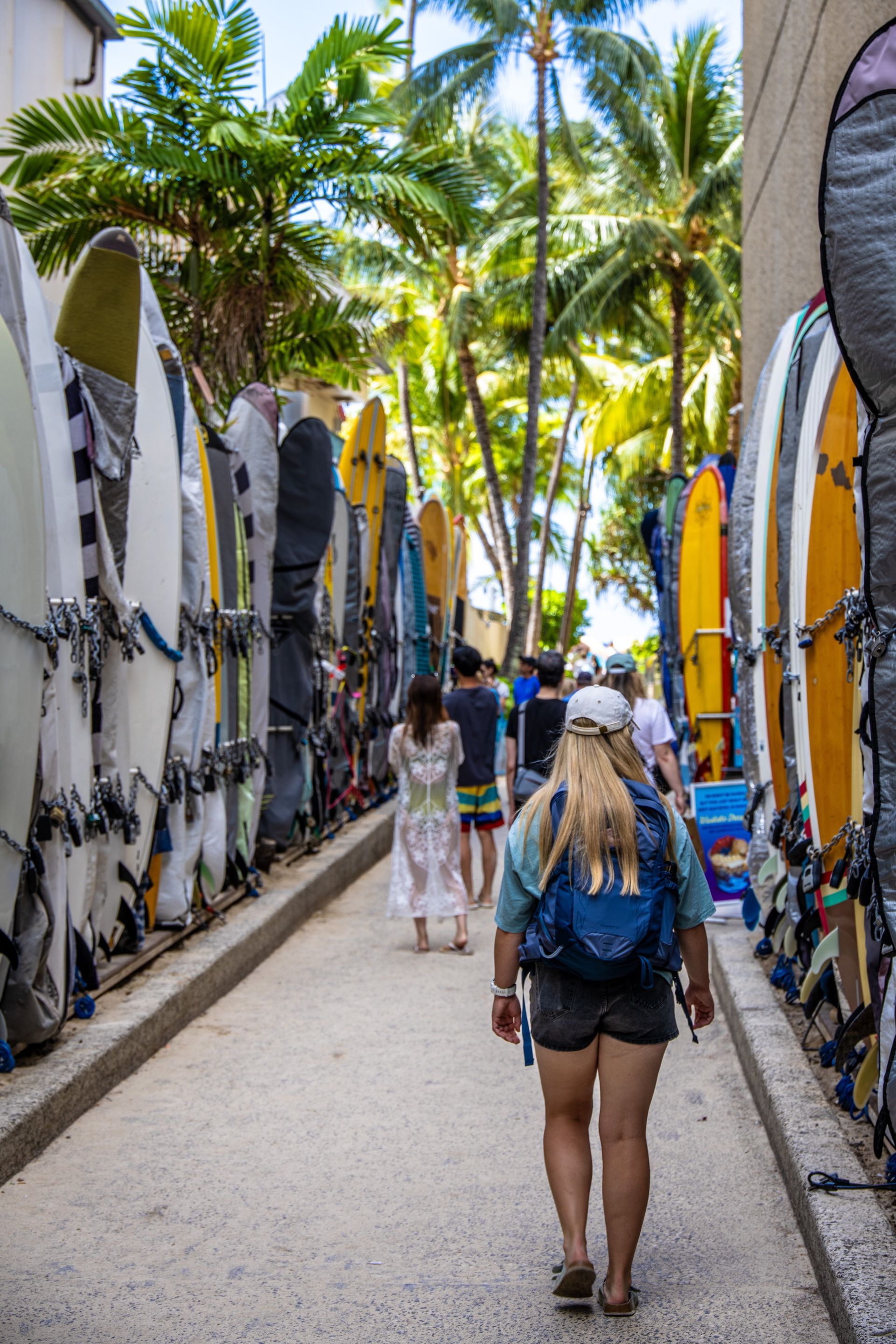 People walk past surfboards in a narrow alley lined with palm trees.