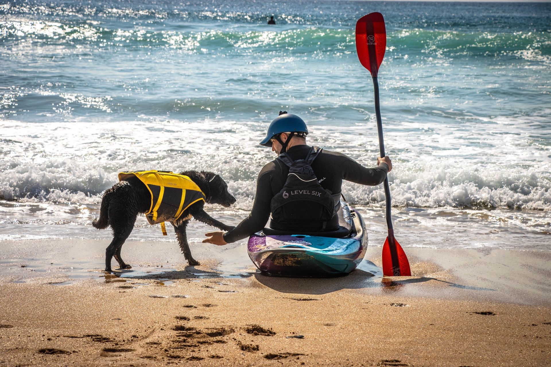 Man and dog near a kayak on a beach. The dog wears a yellow life vest and touches the man's hand. Paddle in the sand.
