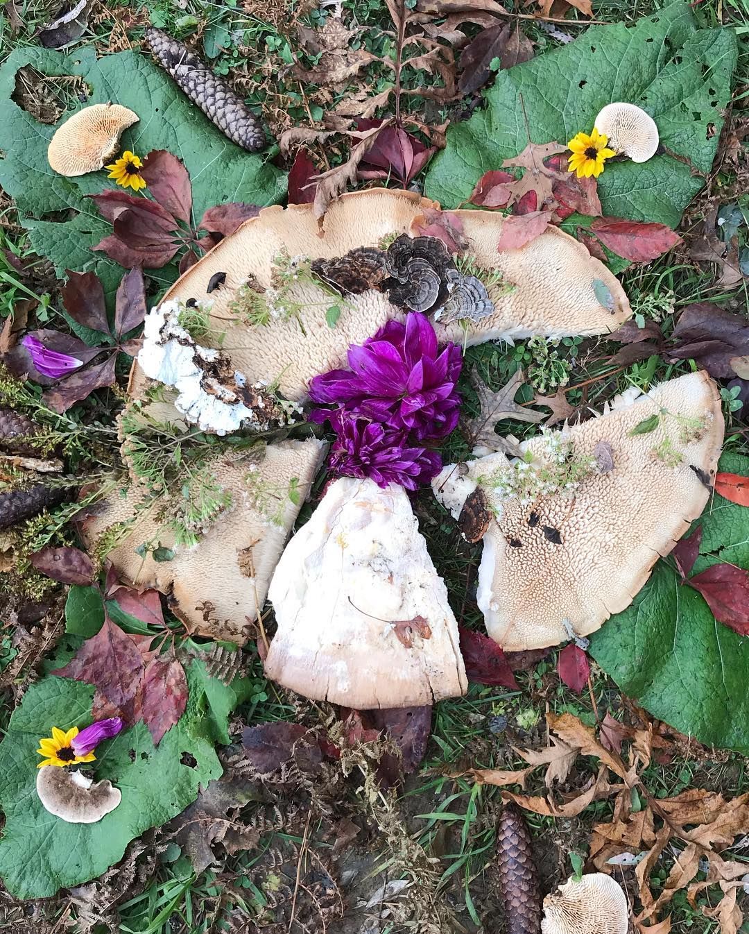 A flower made out of mushrooms and flowers is sitting on the ground.