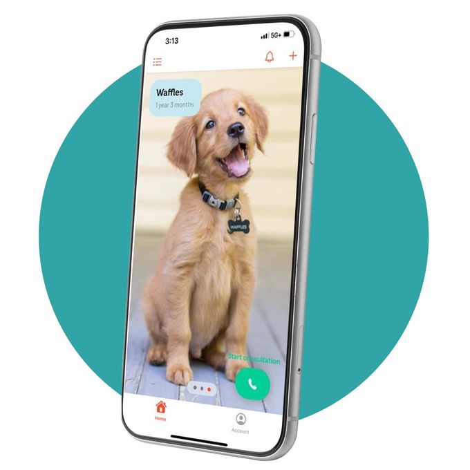 Click or Scan & Save VirtiaCare in Your Contacts