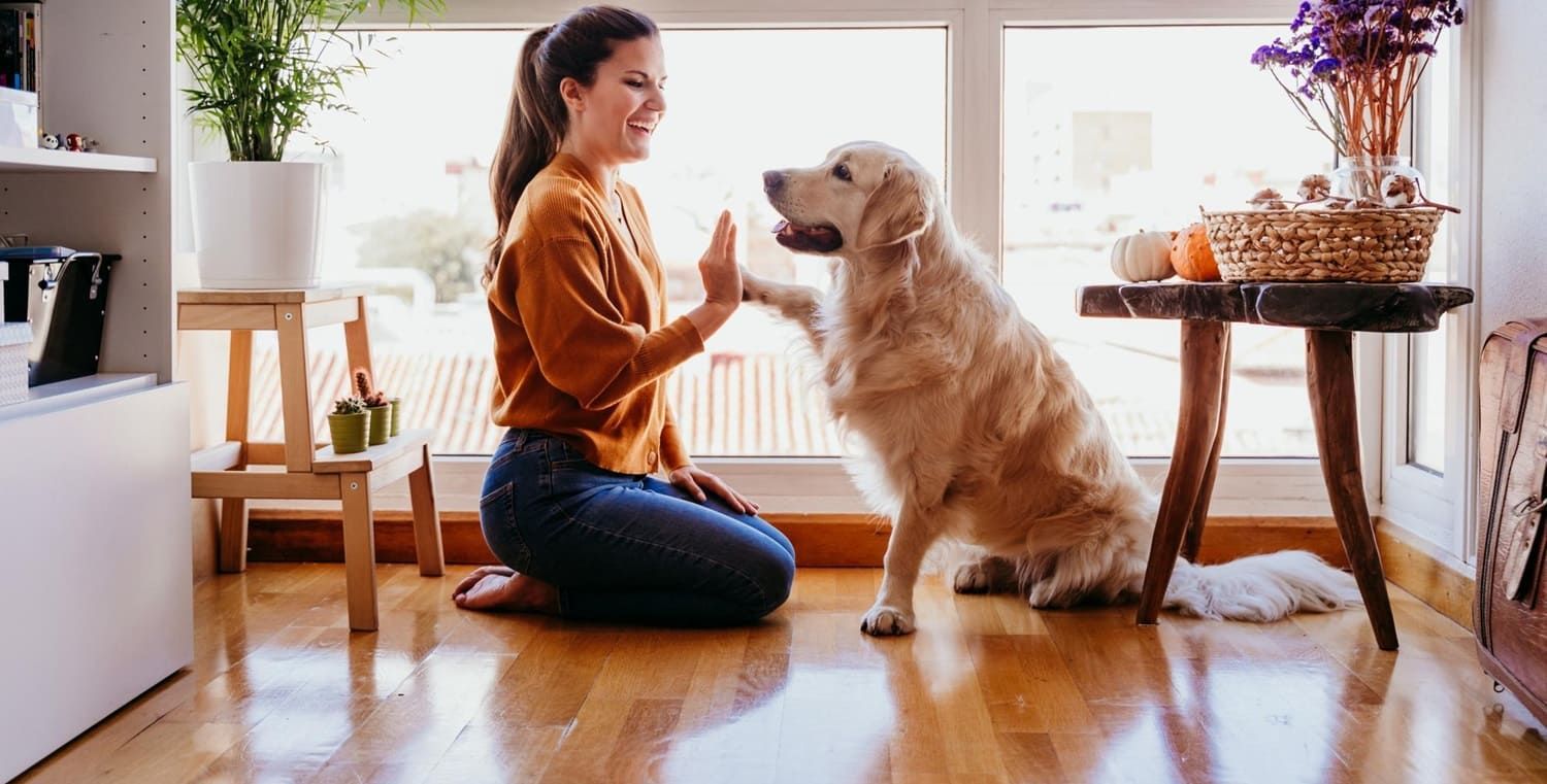 Best flooring for pets