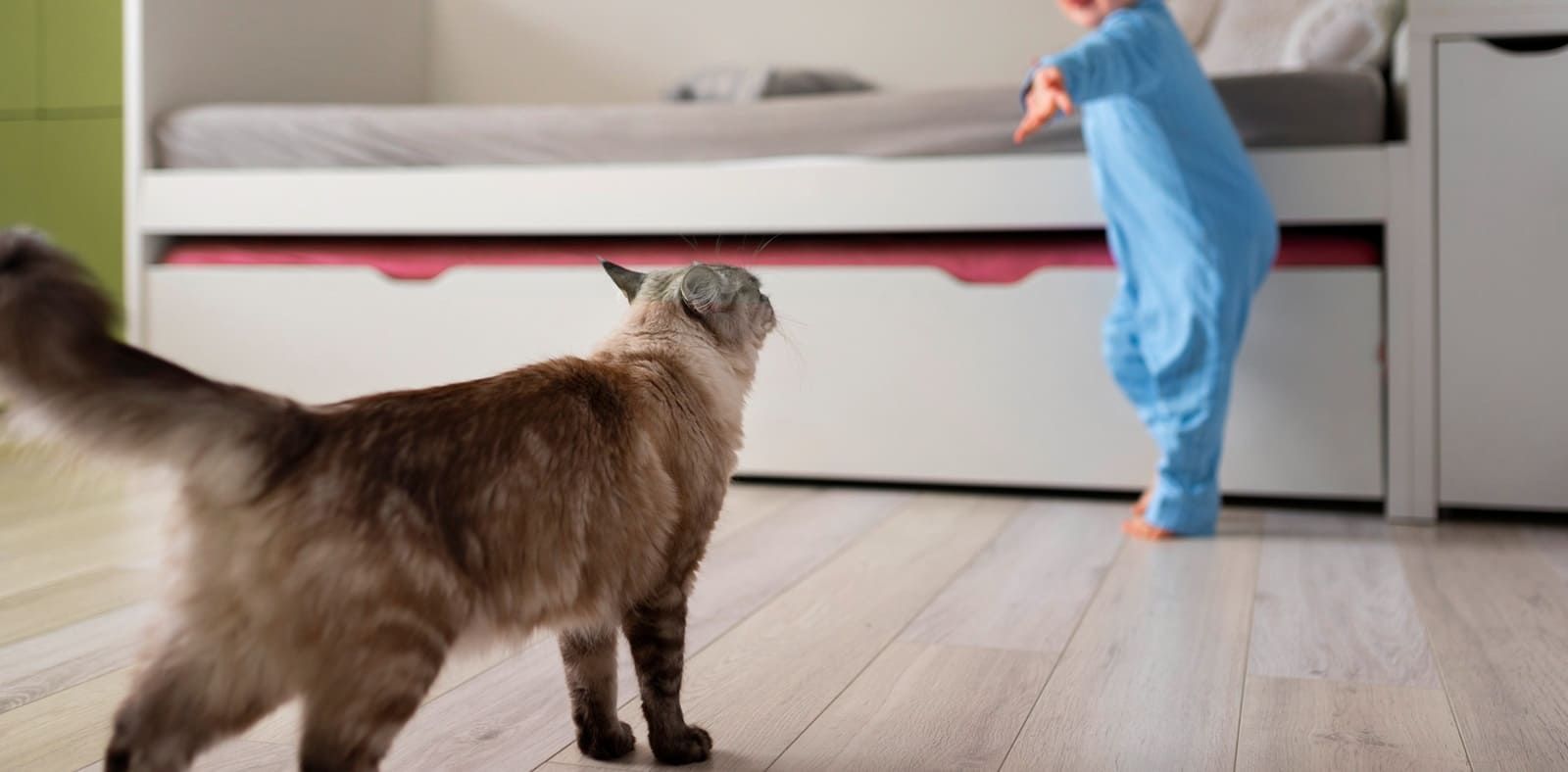 Easy to clean pet flooring