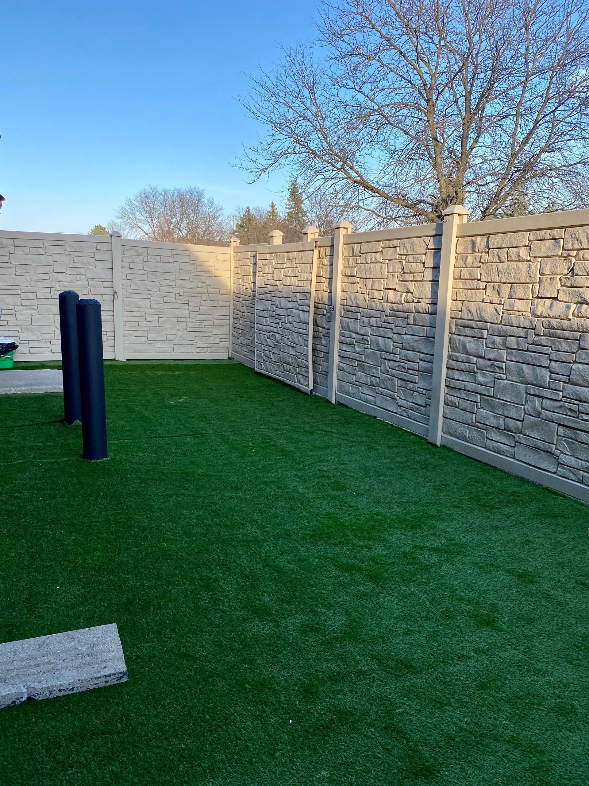 Dog Training Naperville, IL Beach For Dogs