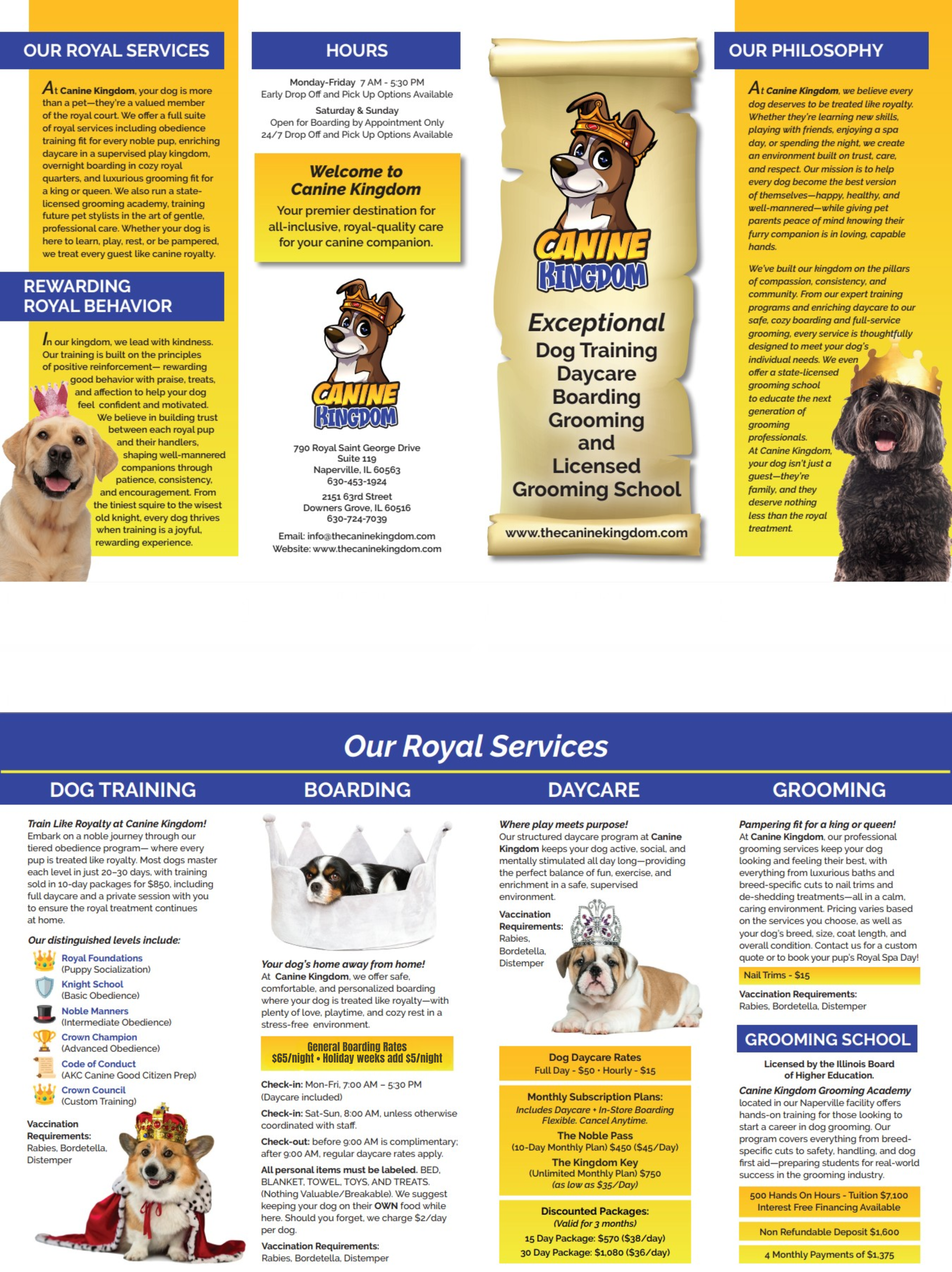 Dog grooming services flyer with photos of groomed dogs and service details in blue and yellow sections