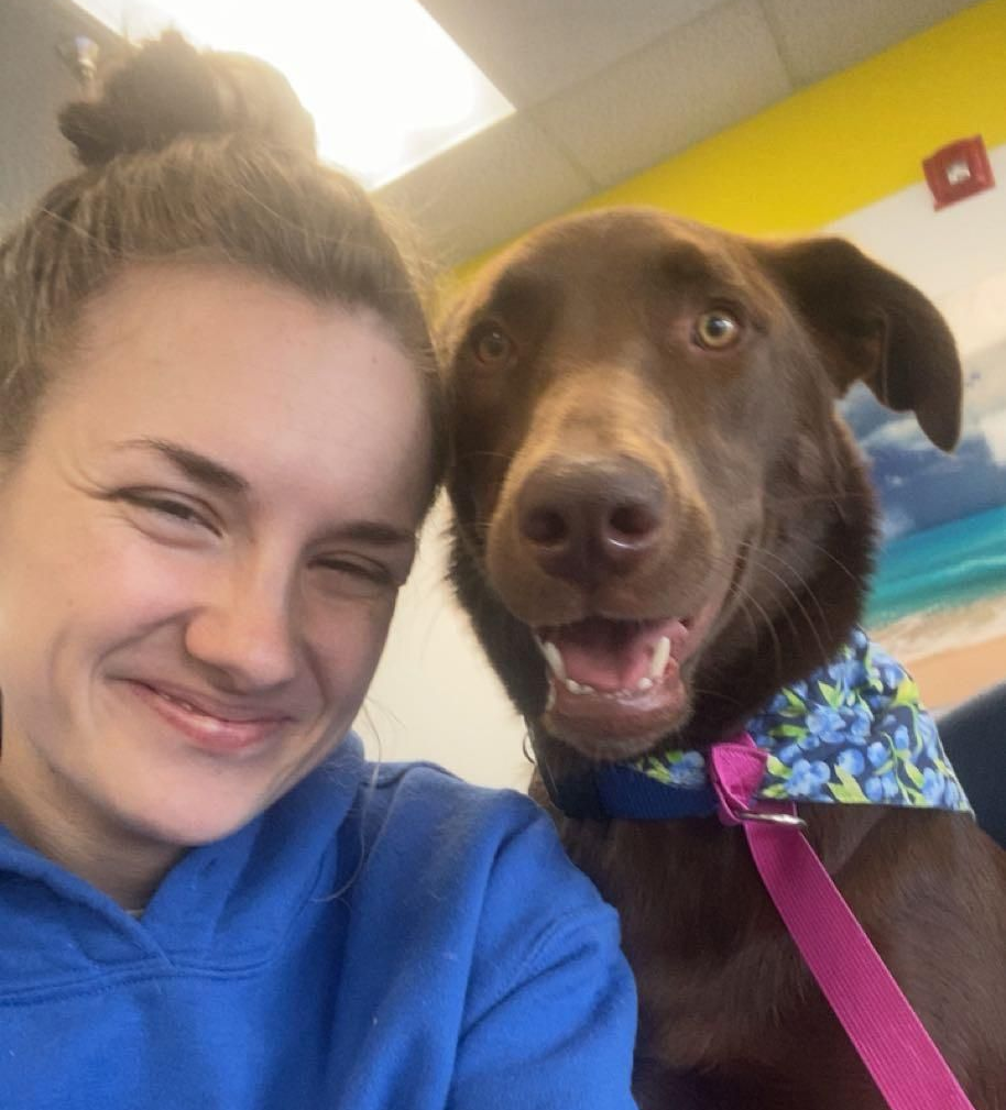 Smiling person in blue hoodie posing with brown dog wearing a pink leash in a bright indoor setting