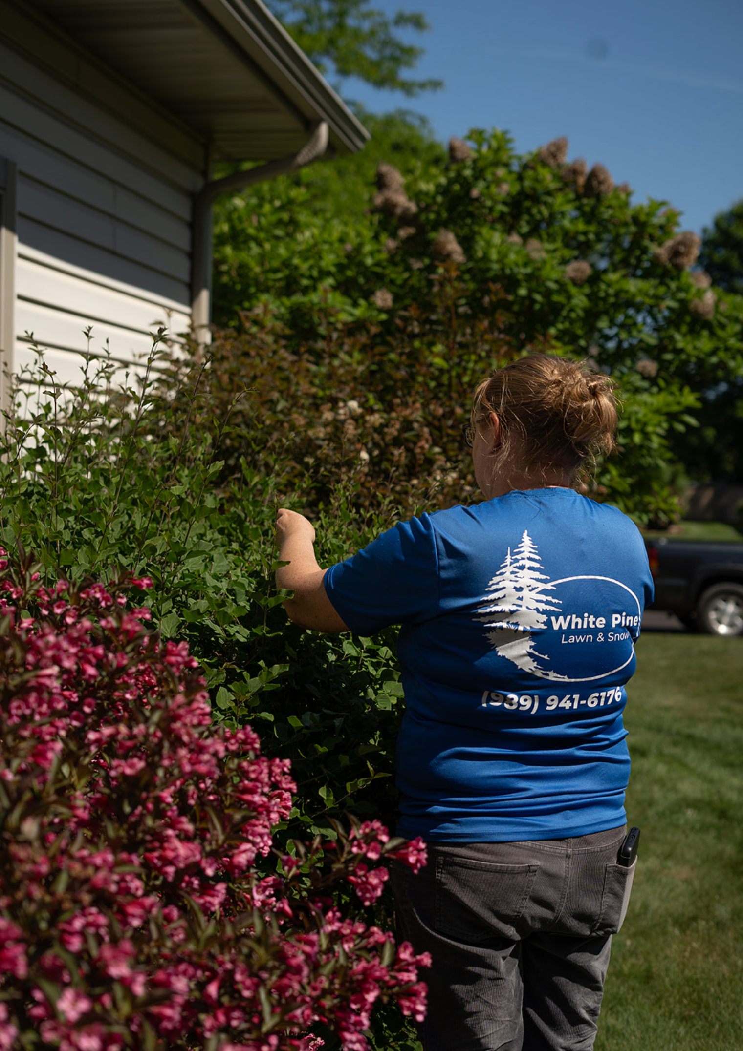 Person trimming a flowering bush beside a house on a sunny day