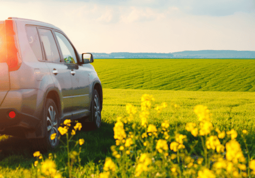 Gray pickup truck driving through a sunny green field with yellow flowers and distant hills