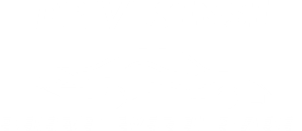 Drivesense Logo