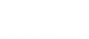 Drivesense Logo