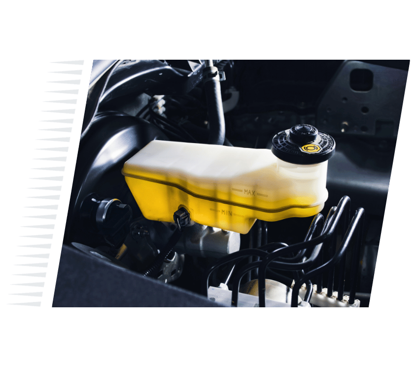 Fluid Level Checks and Flushes