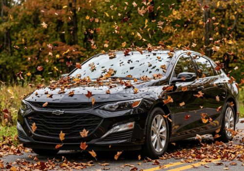Black Chevrolet sedan driving through colorful falling leaves on a scenic road
