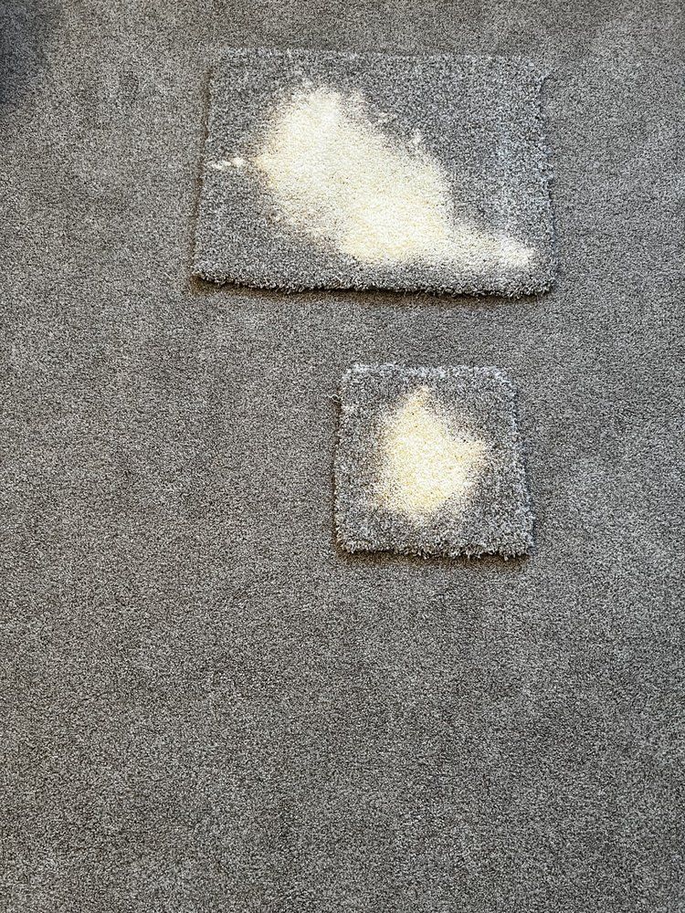 bleach stained carpet