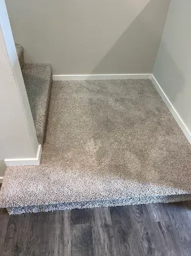 Carpeted stair landing with a single step down to dark wood flooring in a hallway corner.