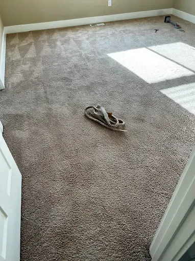 Empty beige carpeted room with a pair of shoes on the floor and sunlight on the right side.