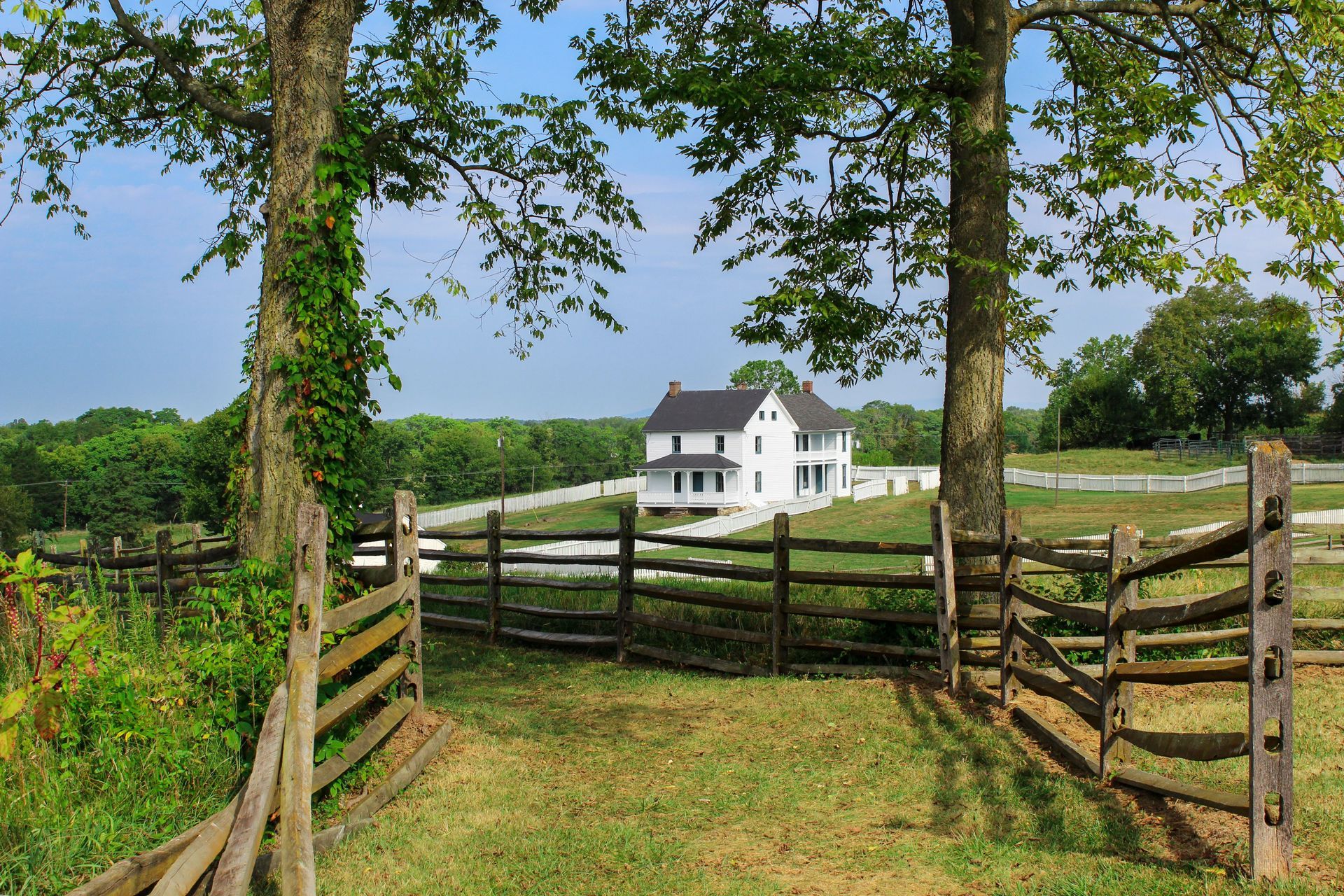 White farmhouse beyond a split-rail fence under green trees on a sunny rural landscape