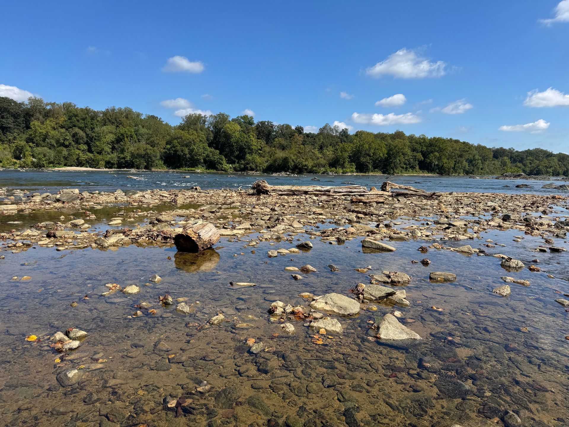 Rocky riverbank with shallow water, trees in the distance, and a blue sky with clouds