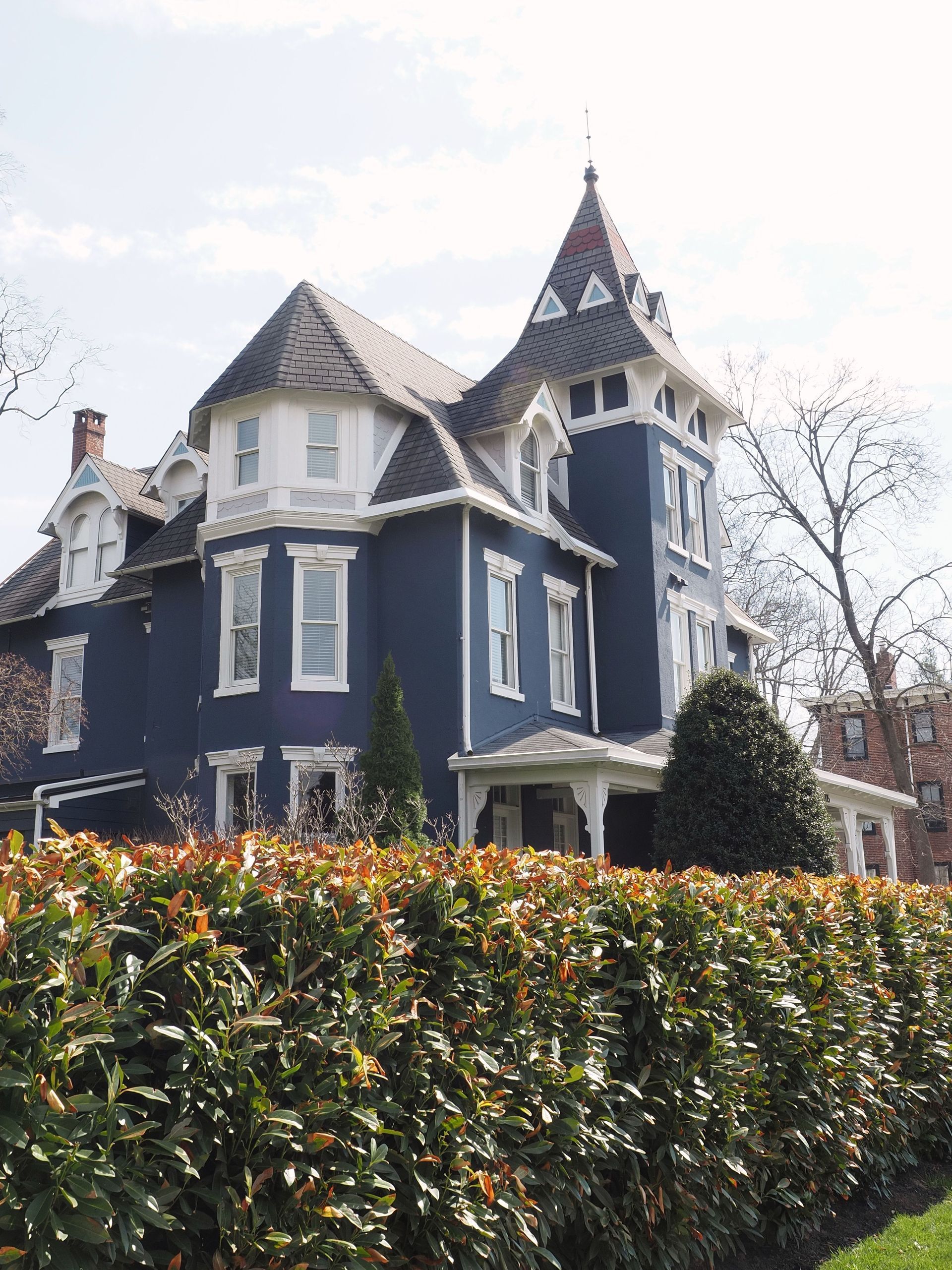 Victorian blue house with white trim behind a tall hedge on a cloudy day
