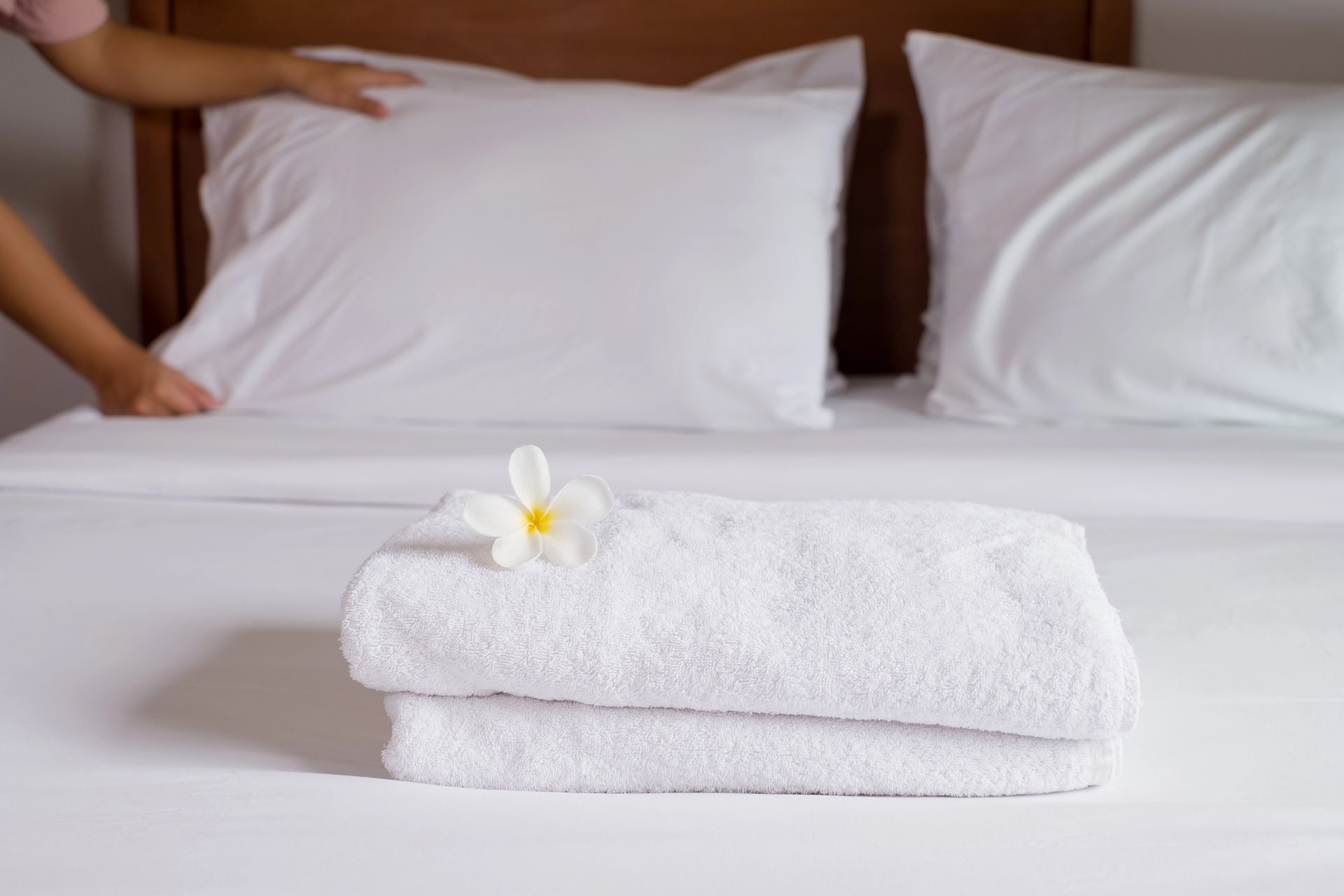Una mano sistema un cuscino bianco su un letto d'albergo con asciugamani piegati e un fiore in primo piano.