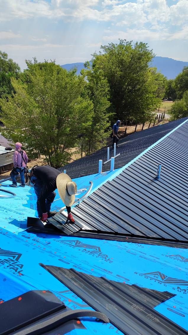 Roofers installing dark shingles on a metal roof, blue underlayment, trees and sky in the background.