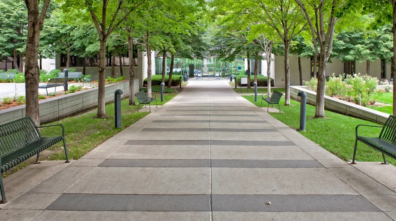 Concrete walkway lined with trees, benches, and greenery, leading towards a building on a sunny day.