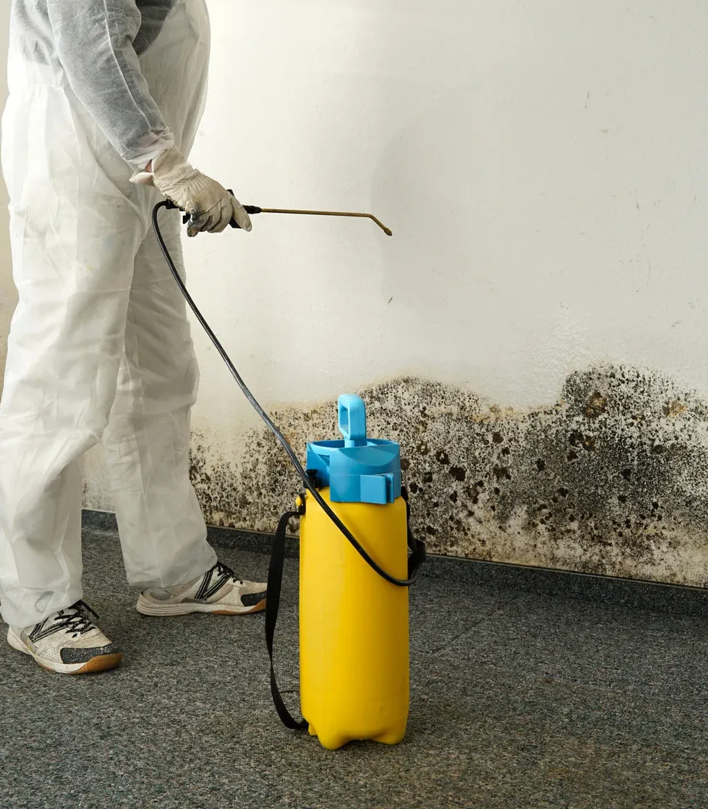 Person in protective suit spraying moldy wall with yellow tank.